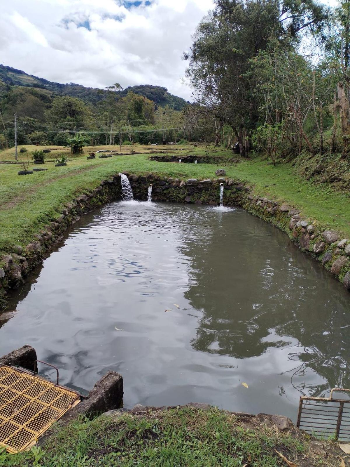 Cabinas las Manzanas Bed y Breakfast
