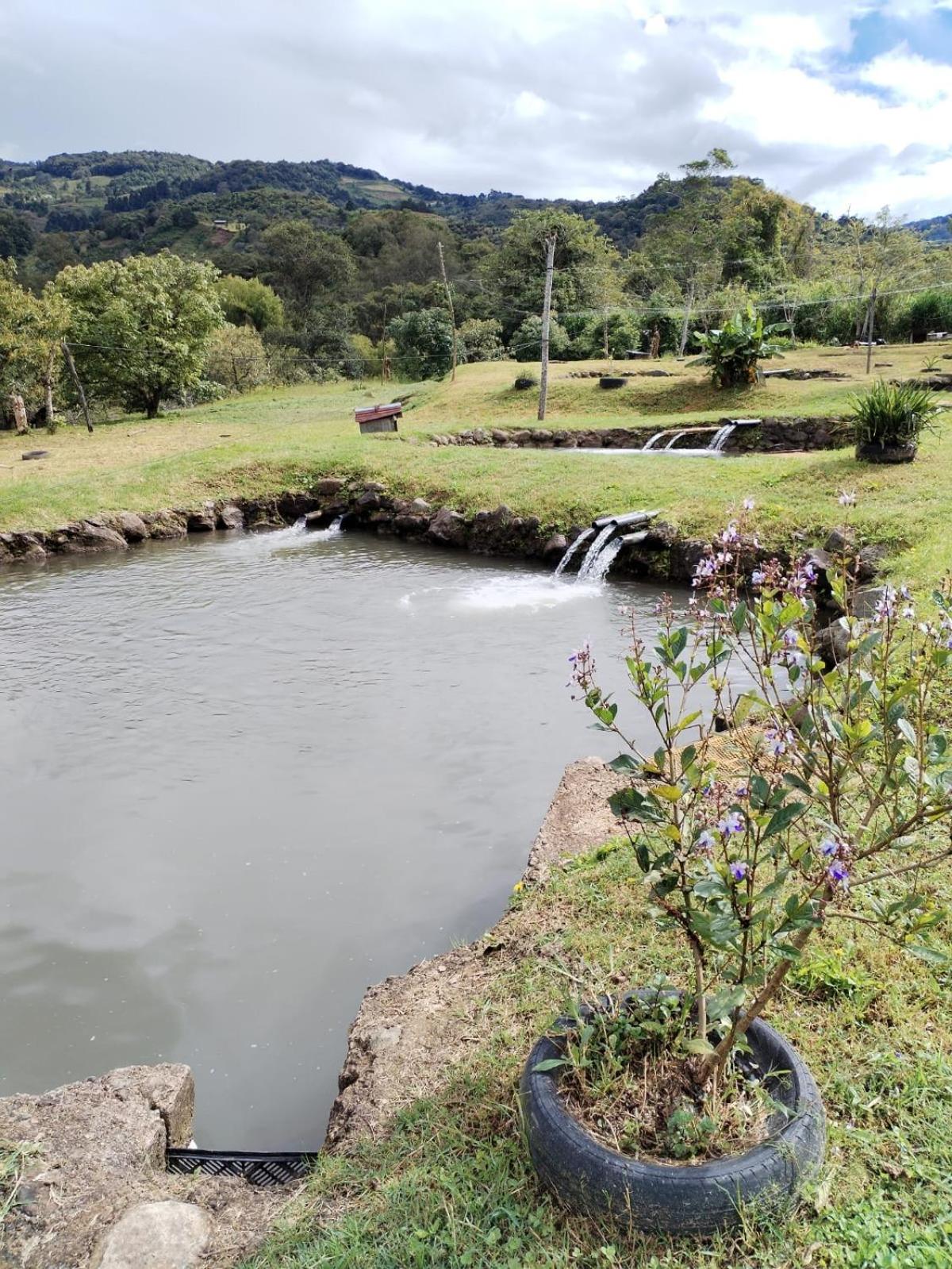 Cabinas las Manzanas Bed y Breakfast