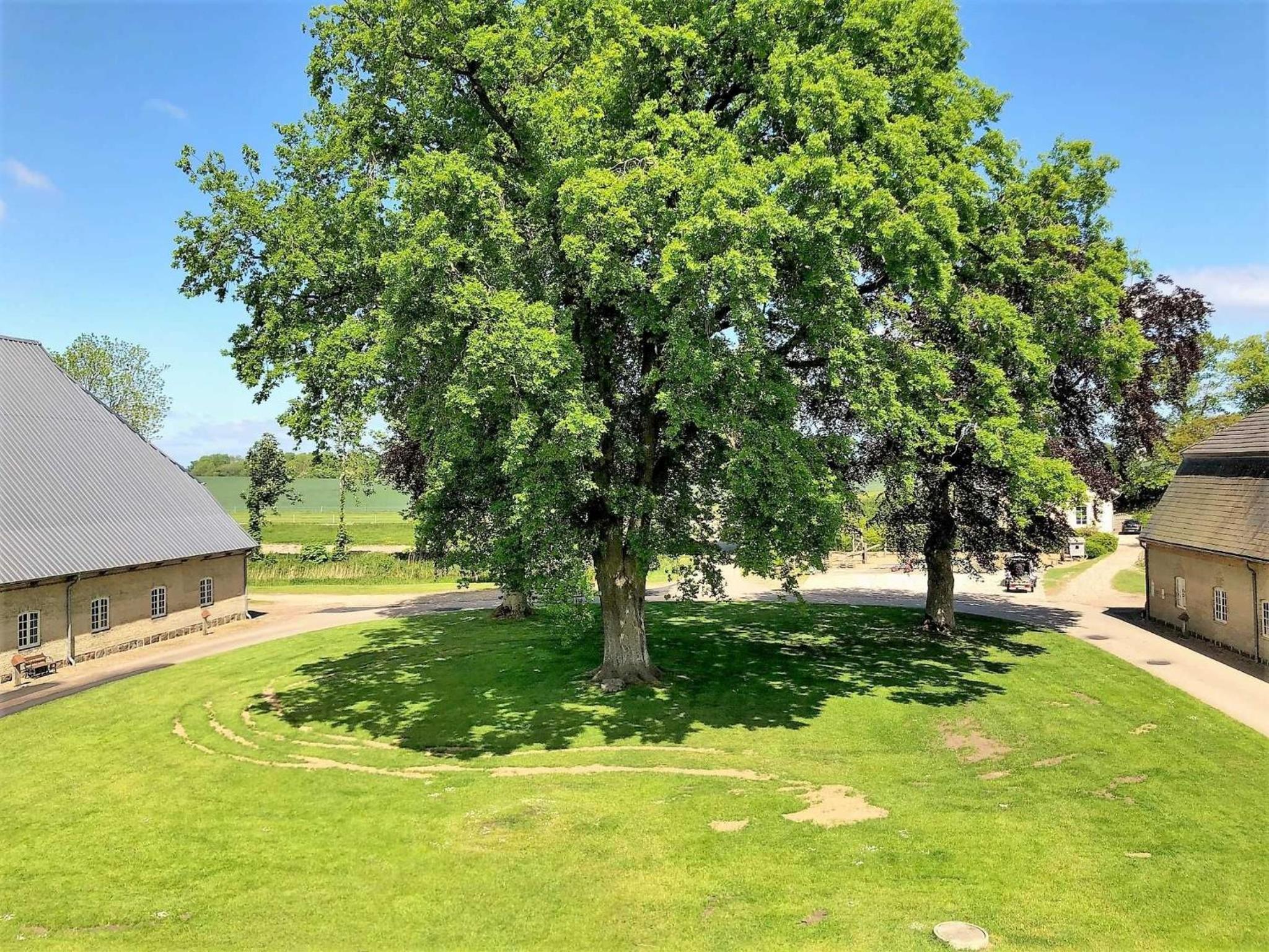 Ferienwohnungen Herrenhaus Gut Oestergaard