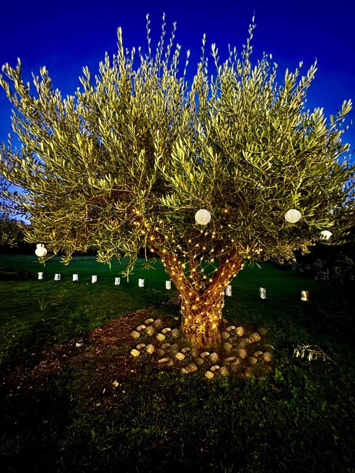 Quinta Vale da Prata view 4
