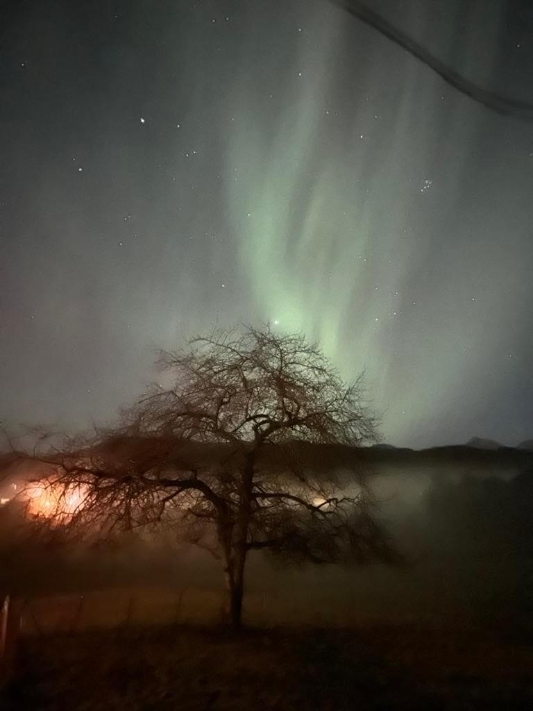 Gårdsidyll i flotte omgivelser