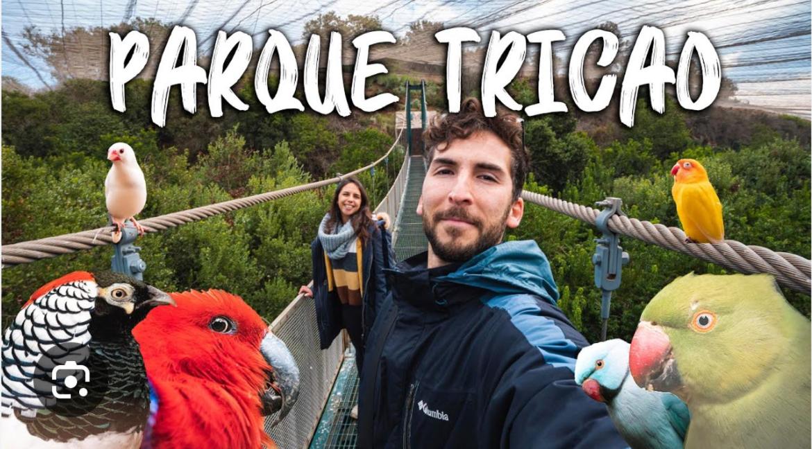 Estudio en Santa María del mar