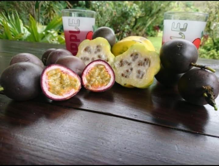 Cabinas las Manzanas Bed y Breakfast