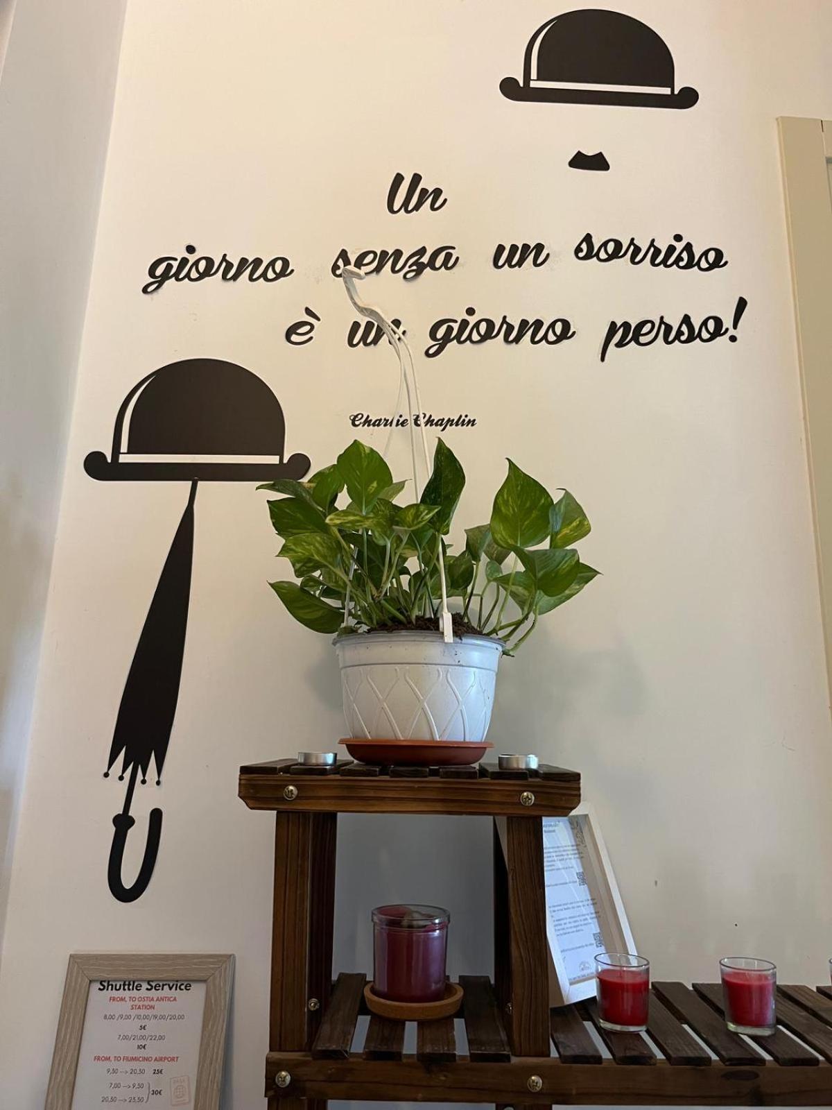 Escuelita Viva