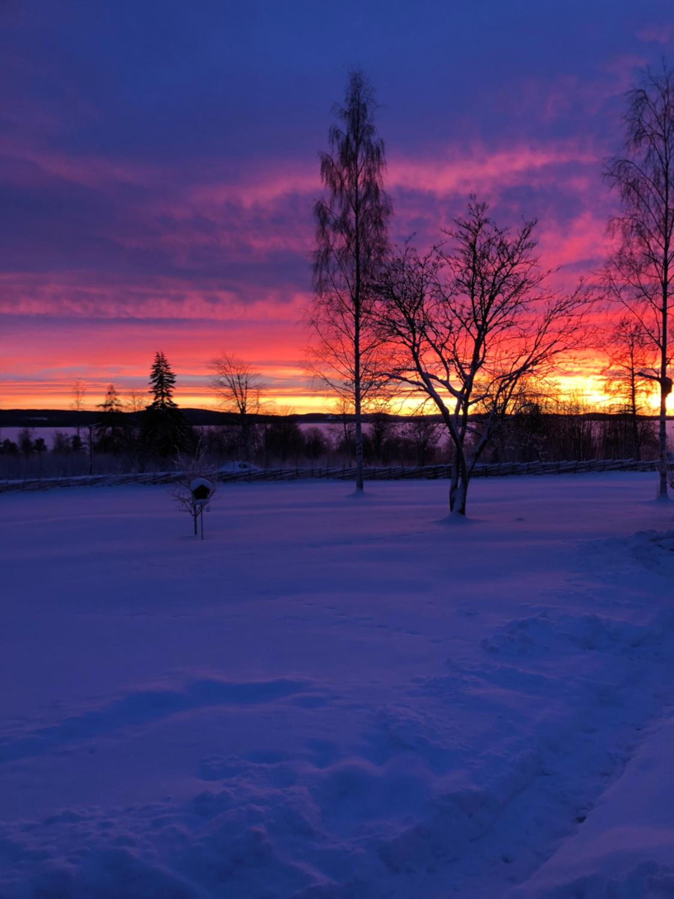Photo 50