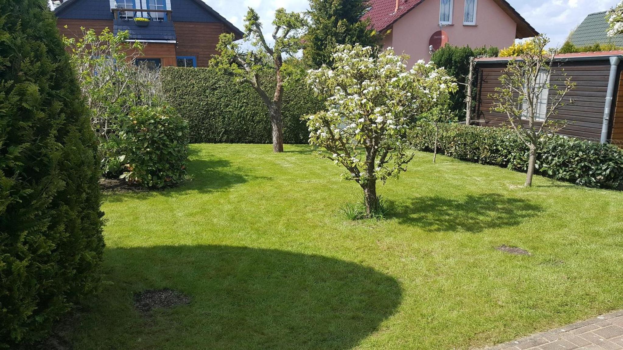 FH Wendorff