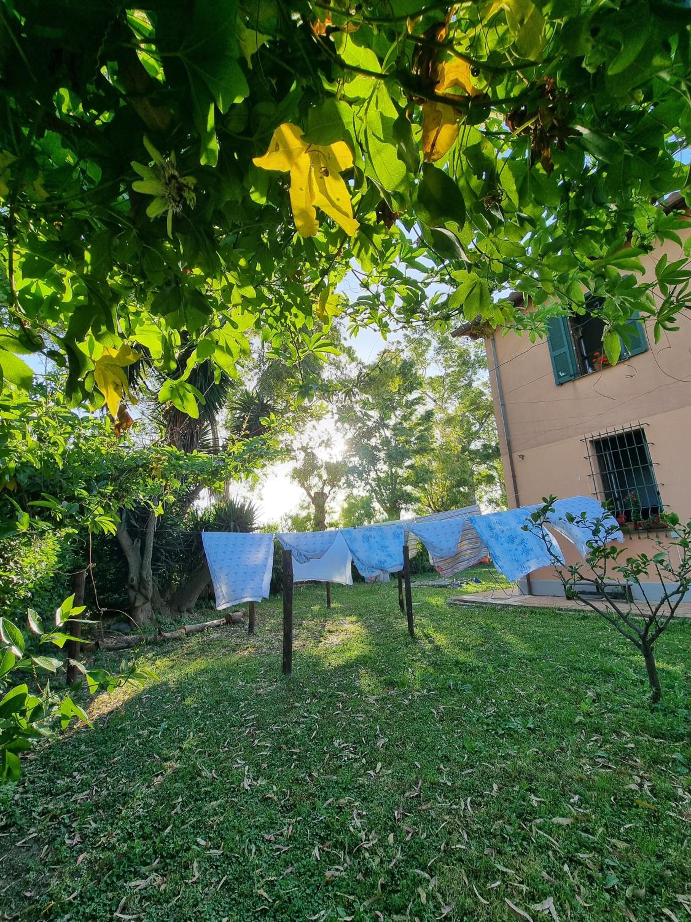 Escuelita Viva