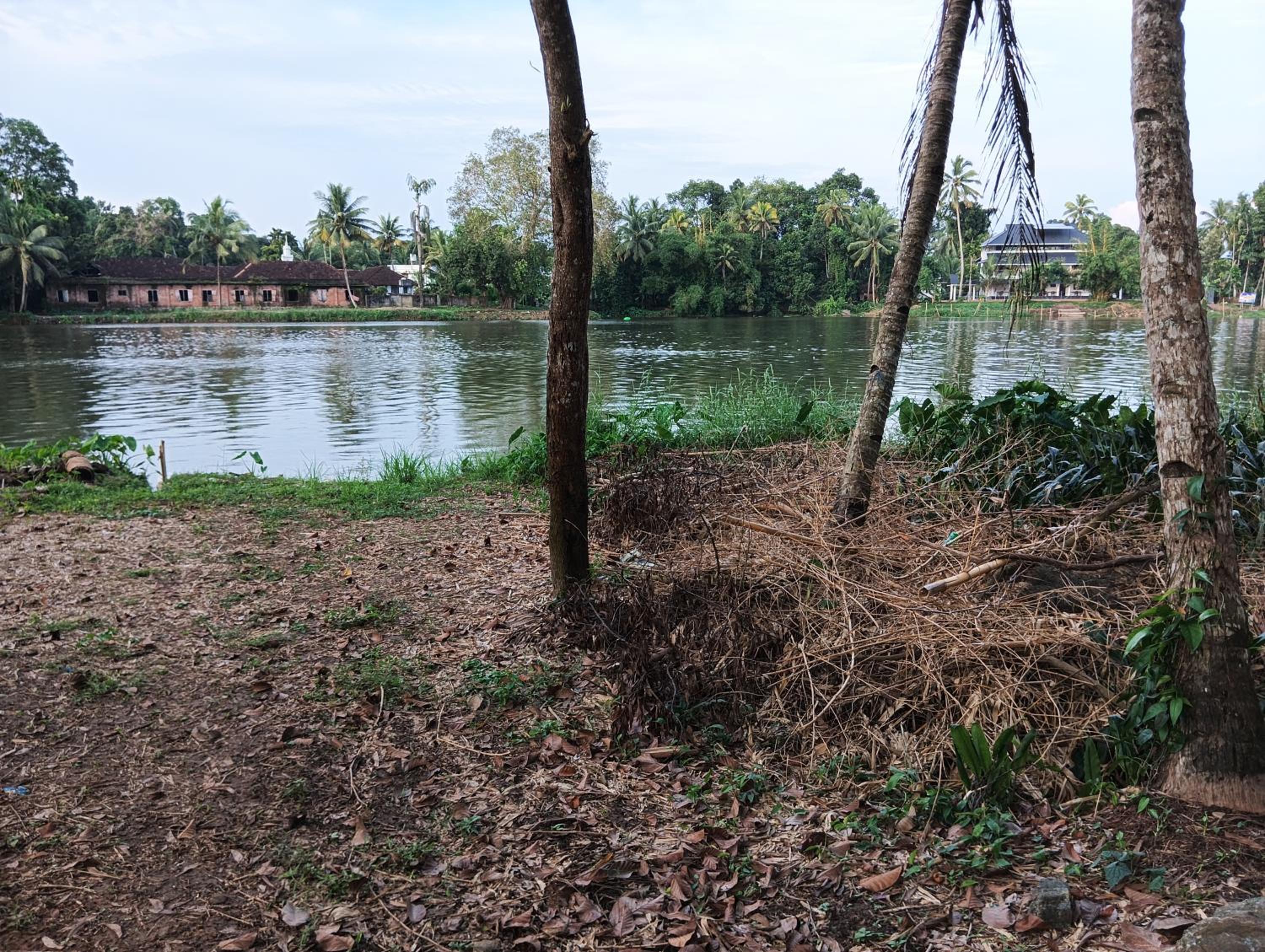 PATTERI TRANQUILITY Homestay