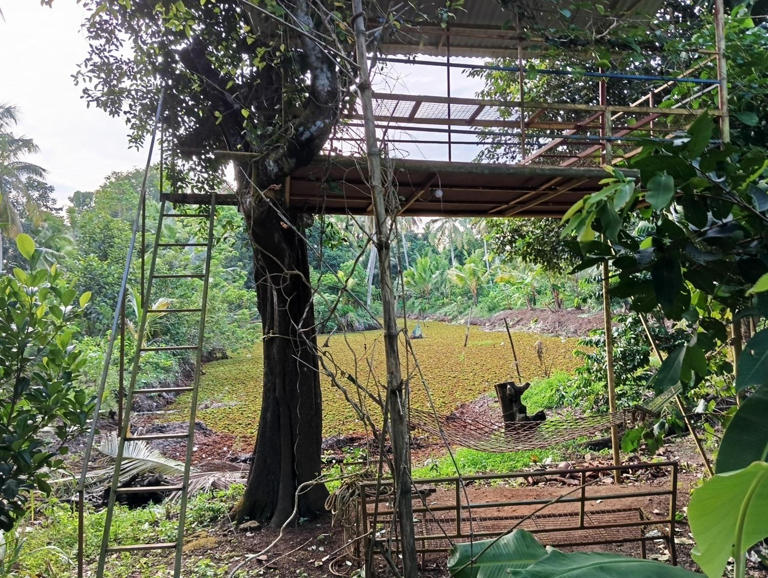 PATTERI TRANQUILITY Homestay