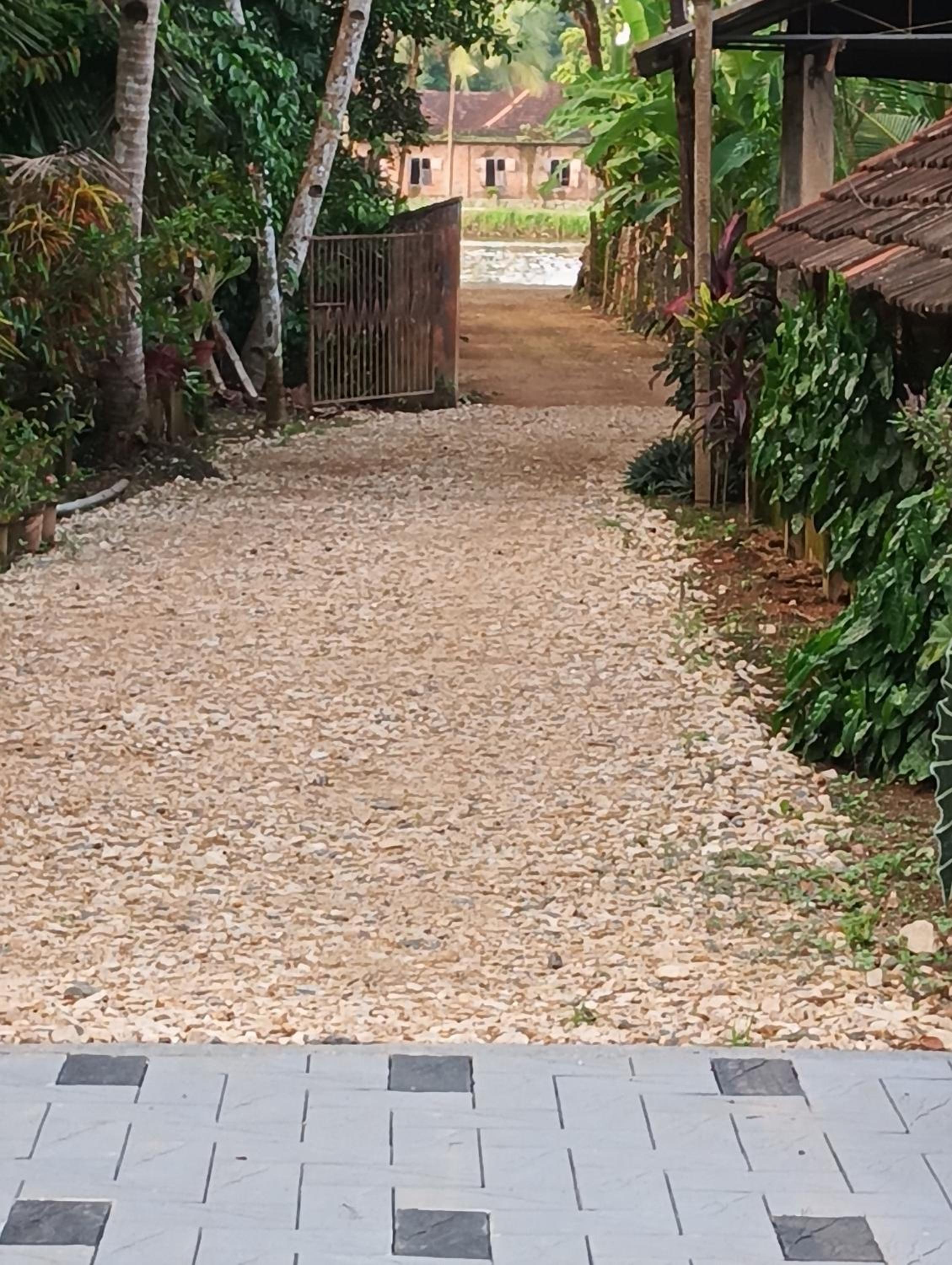 PATTERI TRANQUILITY Homestay