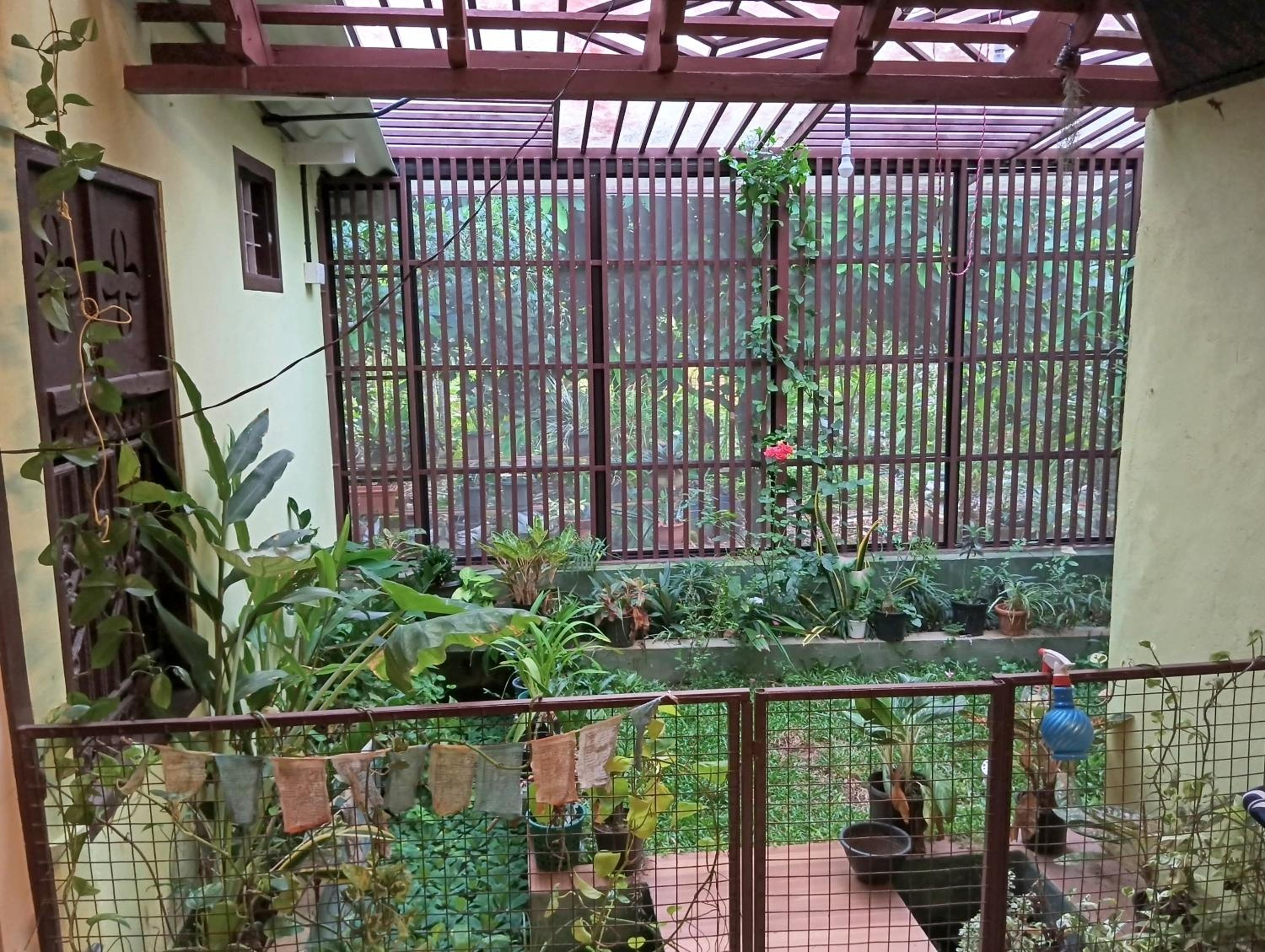 PATTERI TRANQUILITY Homestay