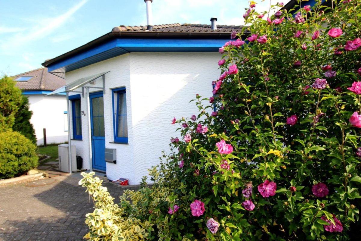 STW24a Bungalow