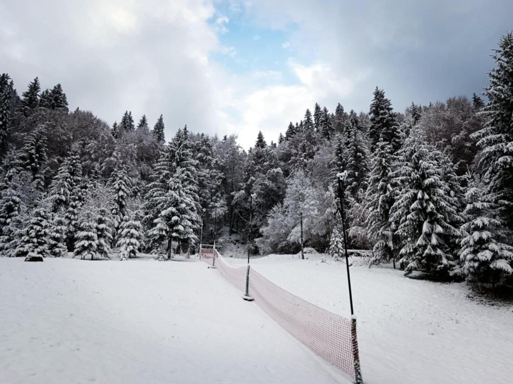 Schwarz Kabin view 5