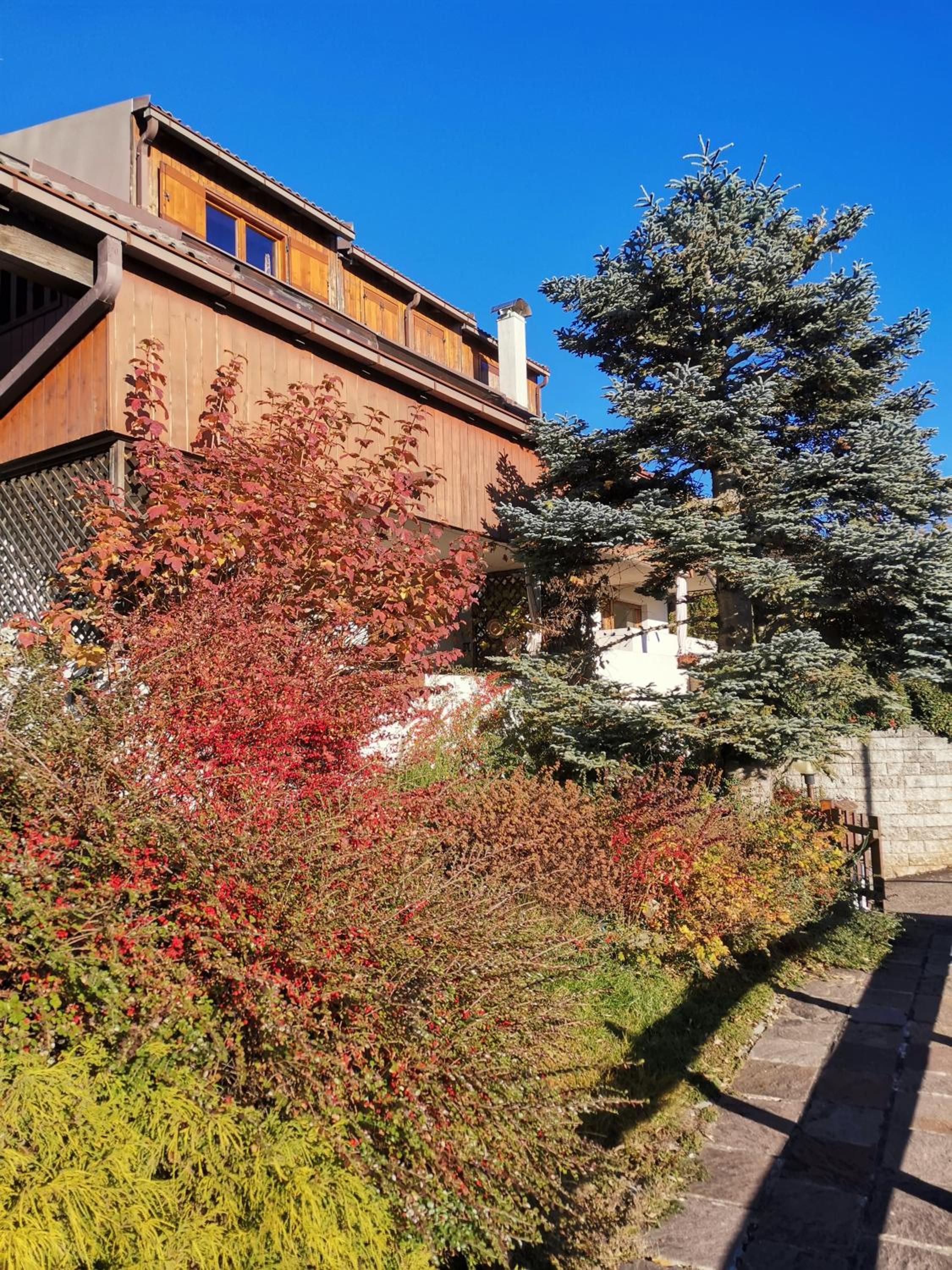 Chalet Genziana