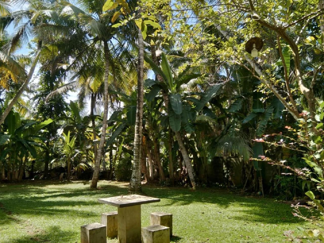 RDV Villa Unawatuna view 4
