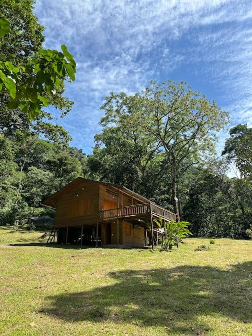 Casa de Micos