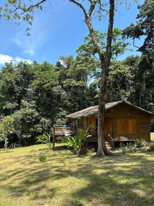 Casa de Micos