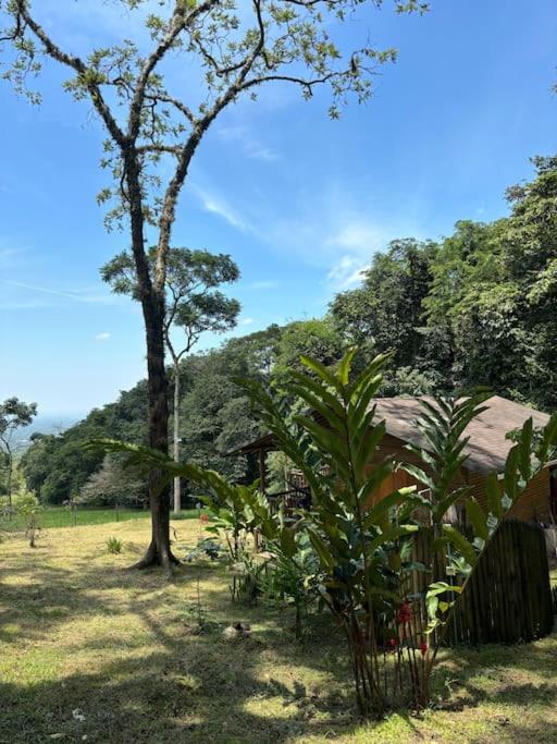Casa de Micos