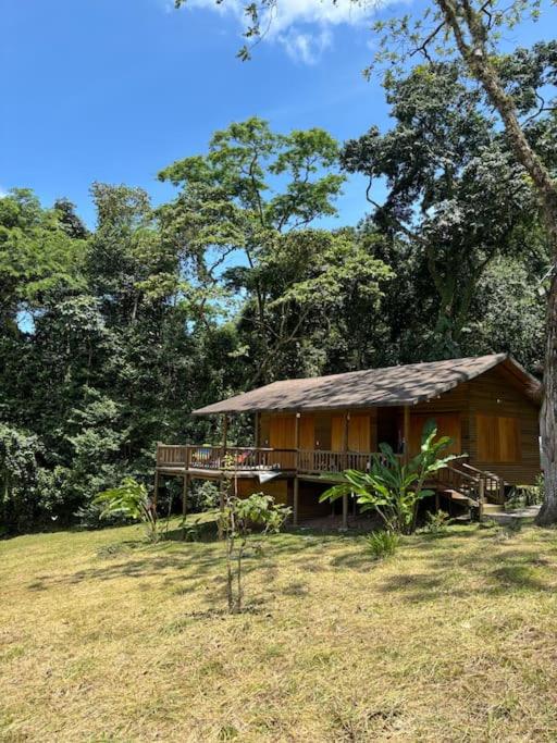 Casa de Micos