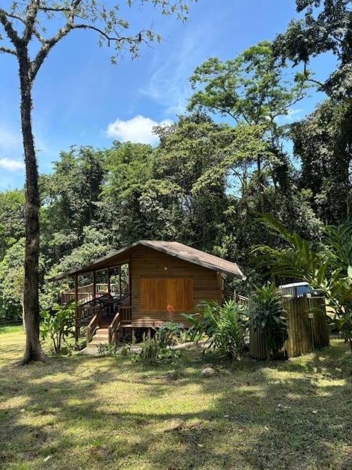 Casa de Micos