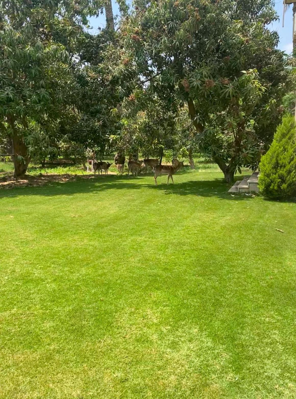 Pyramids ranch guesthouse