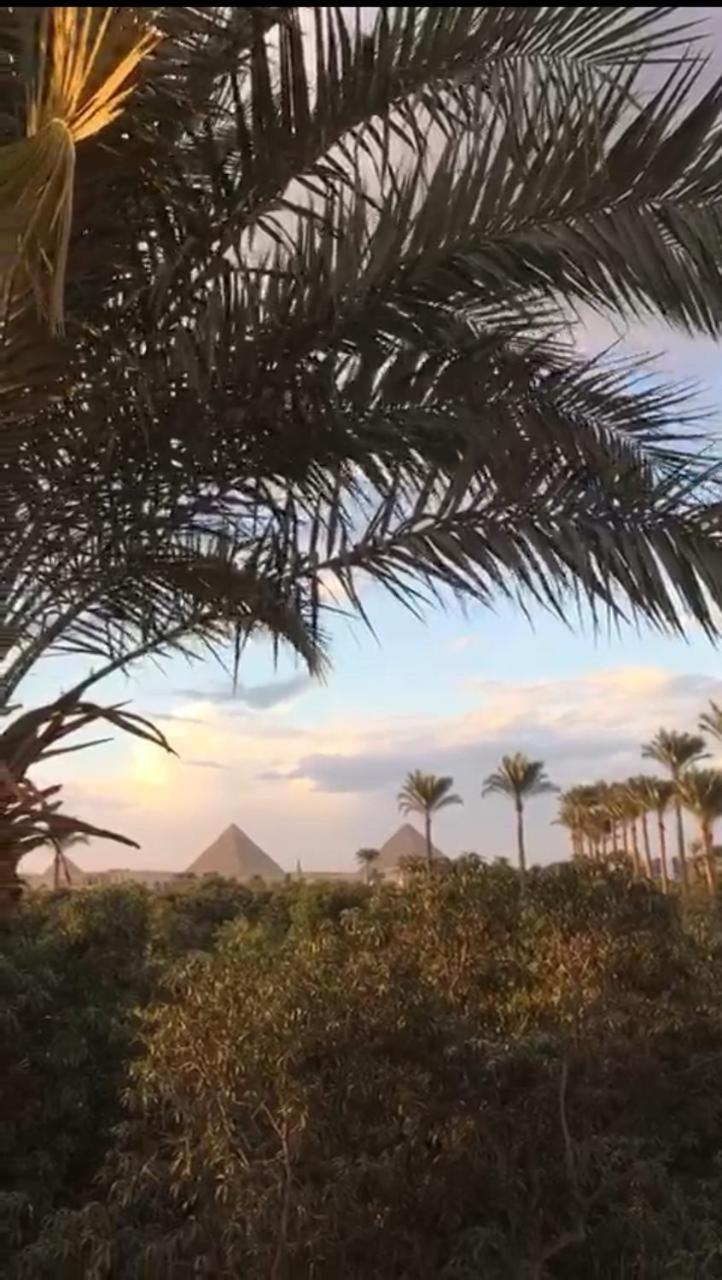Pyramids ranch guesthouse