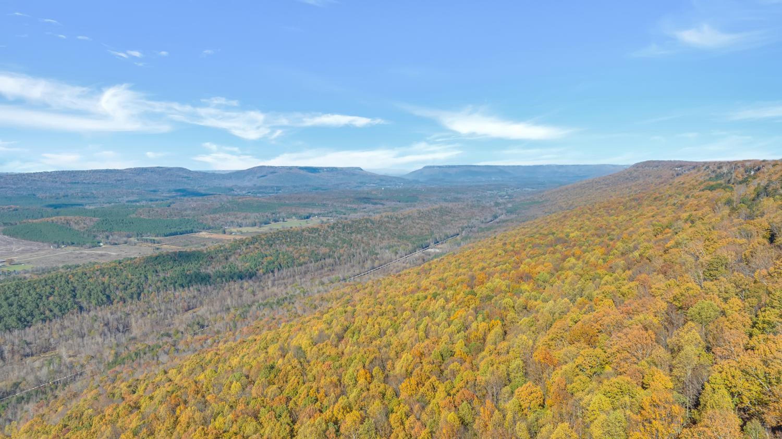 The Lodge in Mentone view 5