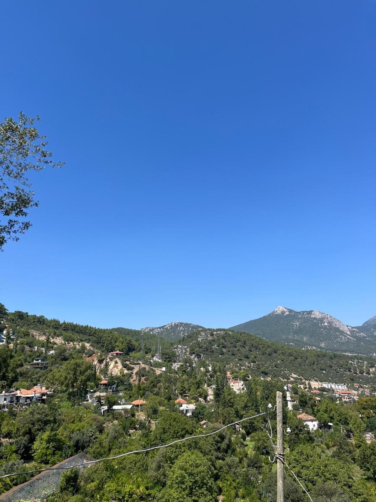 cardaklikonak