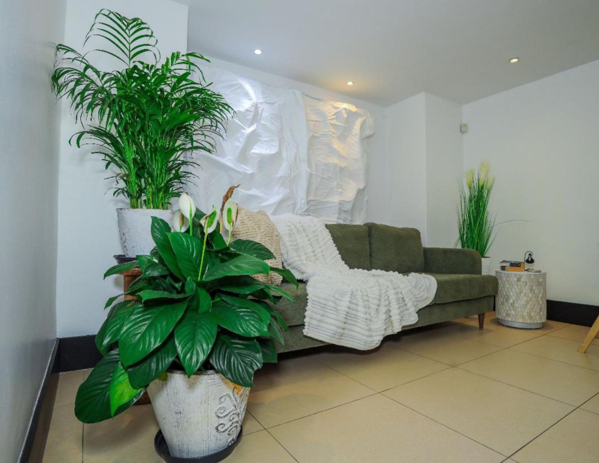 Mood Health Resort and Spa