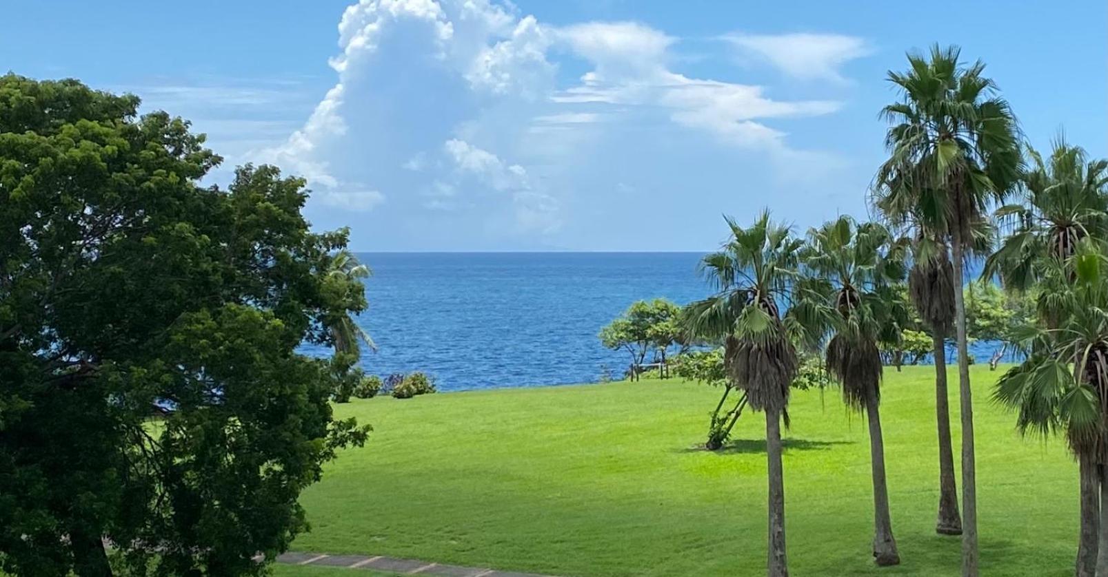 Appartement, 2 chambres, Terrasse vue mer et parc, très calme, Piscine premium, accès direct aux plages, restaurants view 4