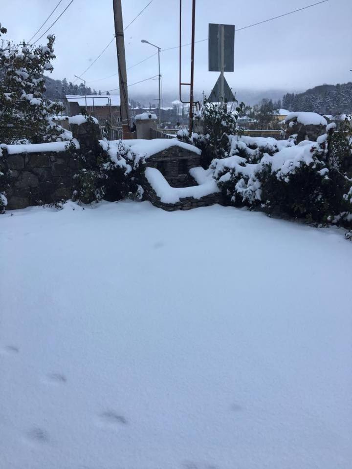 Winter tours in Bakuriani