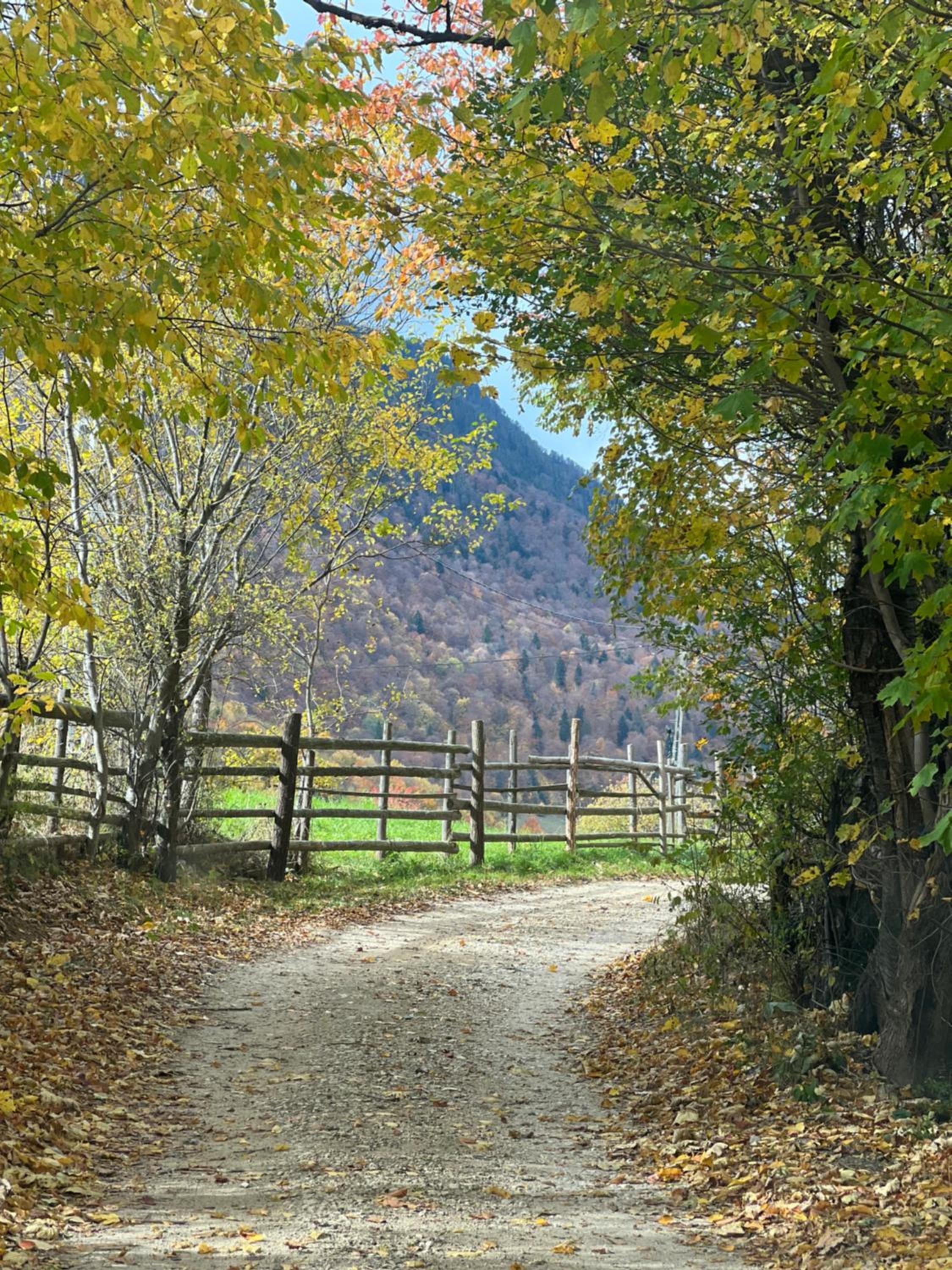Mont Crai view 4