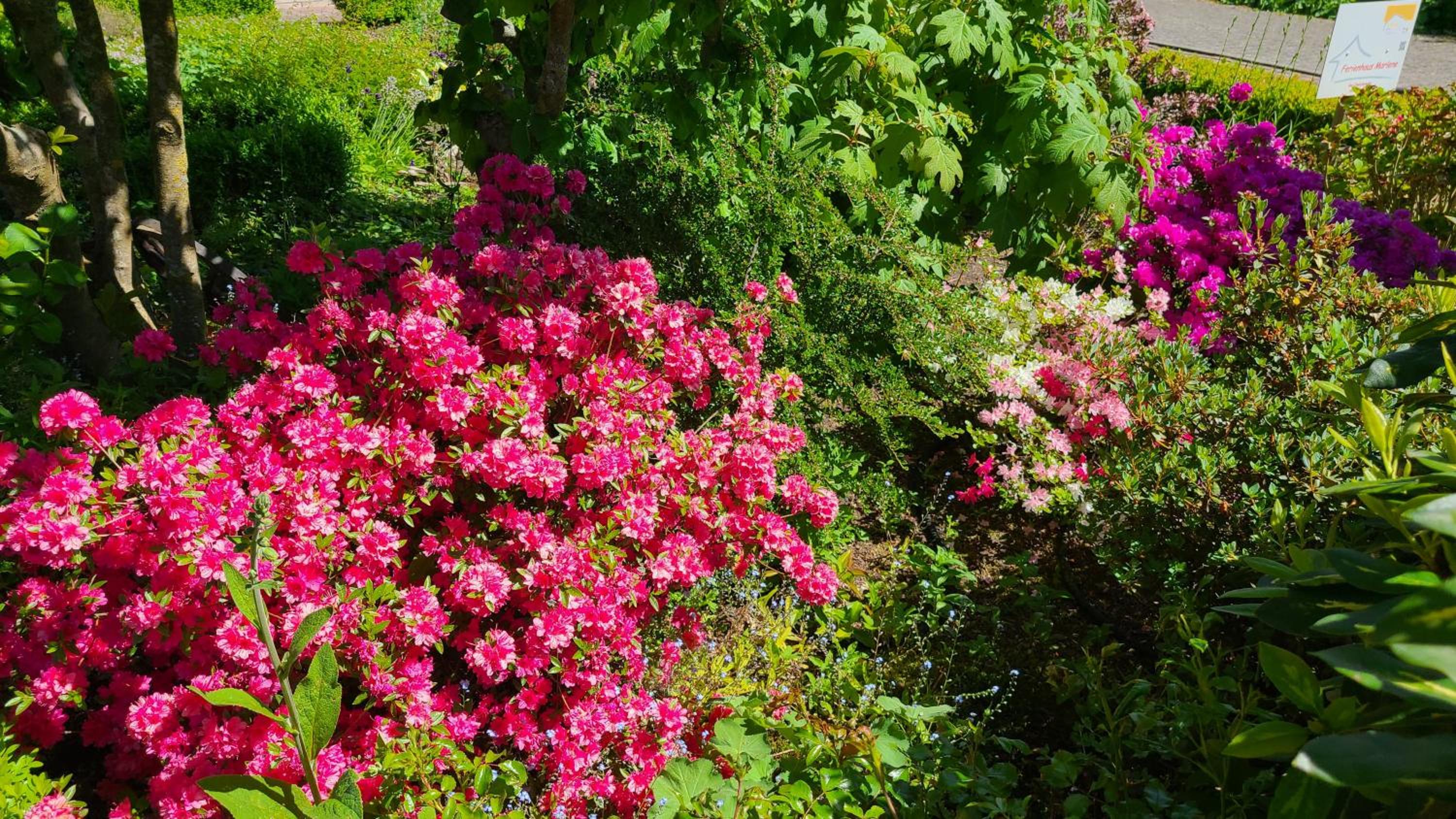 4 Sterne Ferienhaus Marlene mit großem Garten
