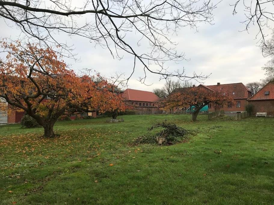 Eventyrligt og rummeligt hus med havudsigt
