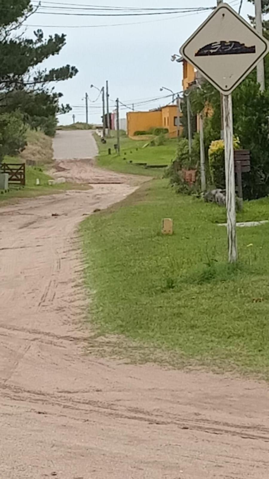 Gesell mar y bosque