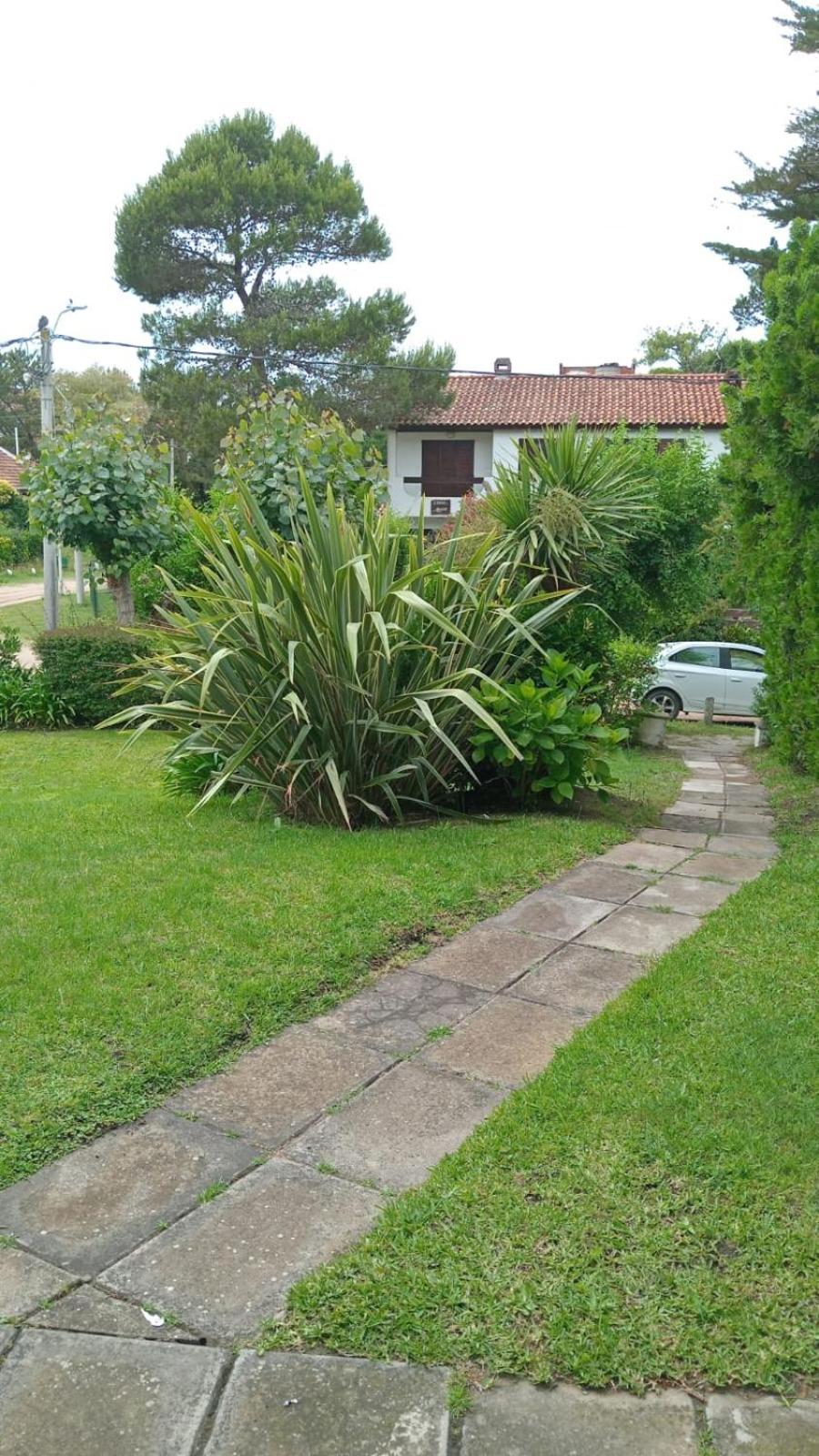Gesell mar y bosque