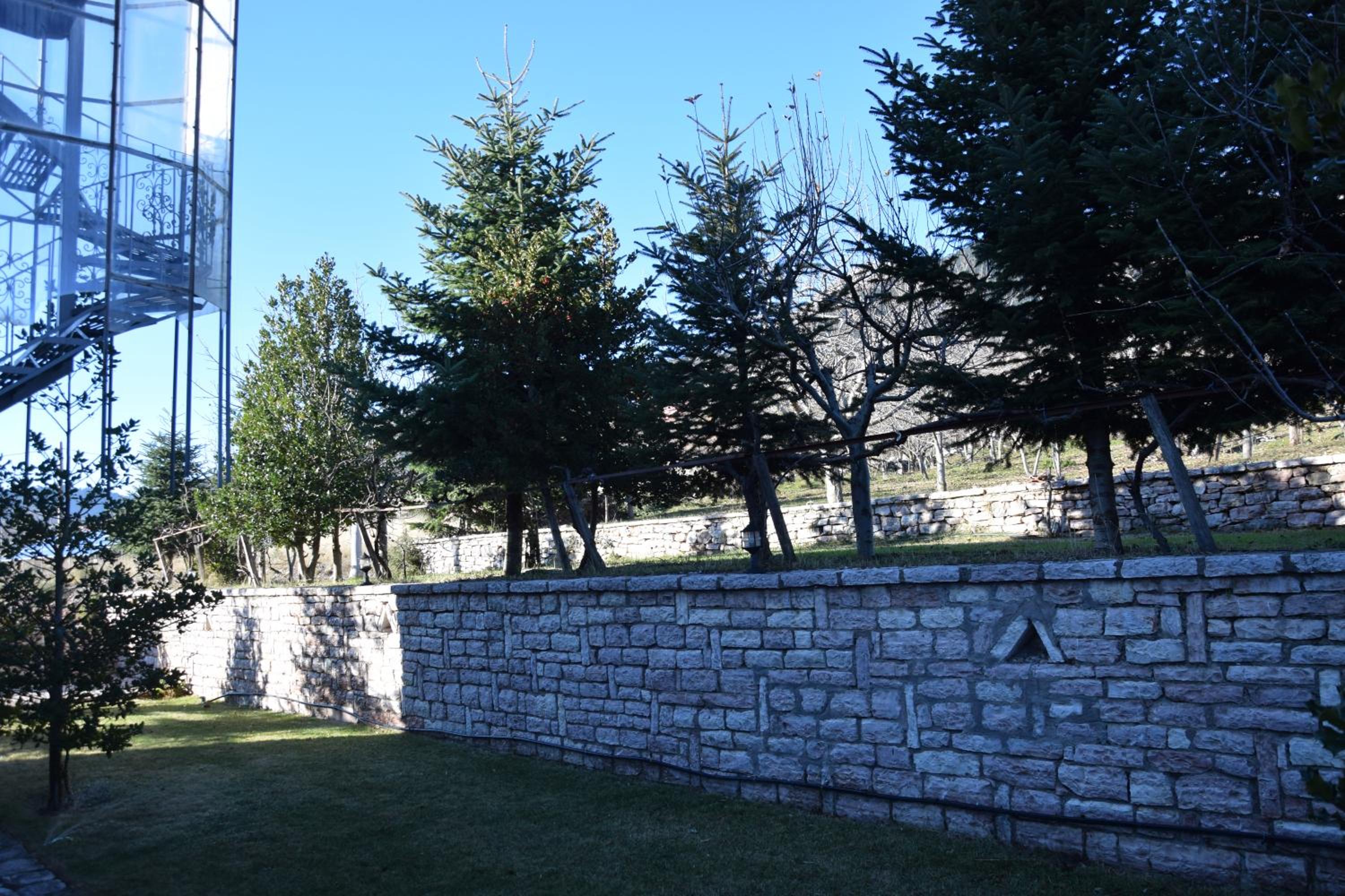 Photo 43