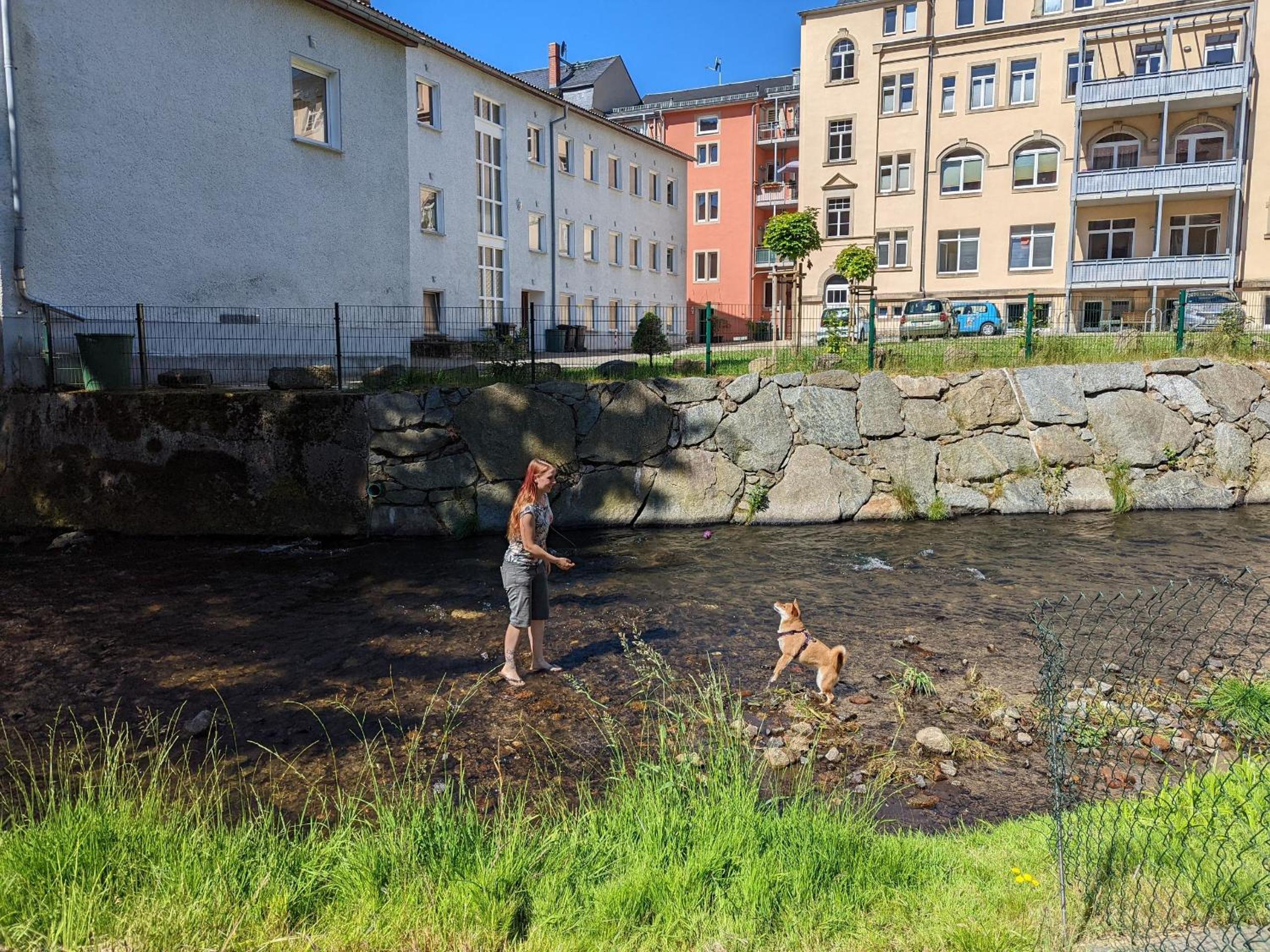 human