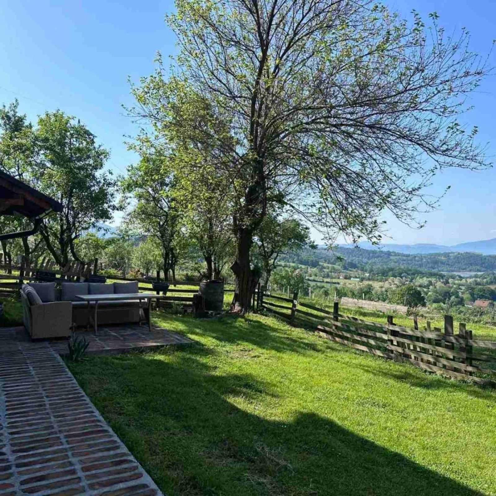 Apartman Mica i Živo view 4