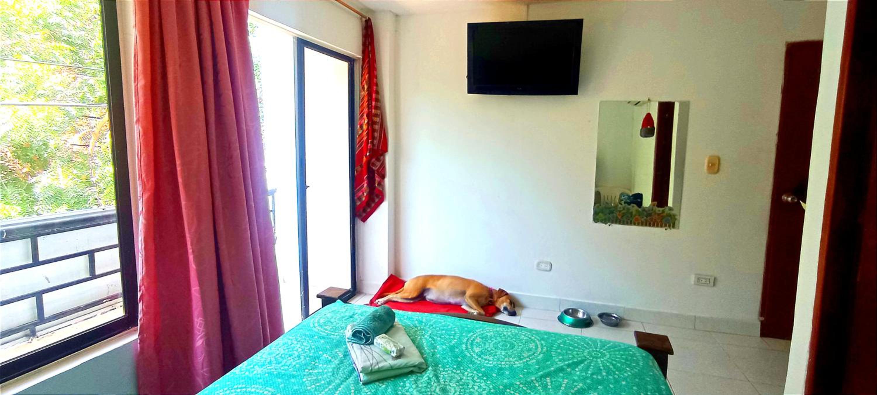 Hostal Don Miguel