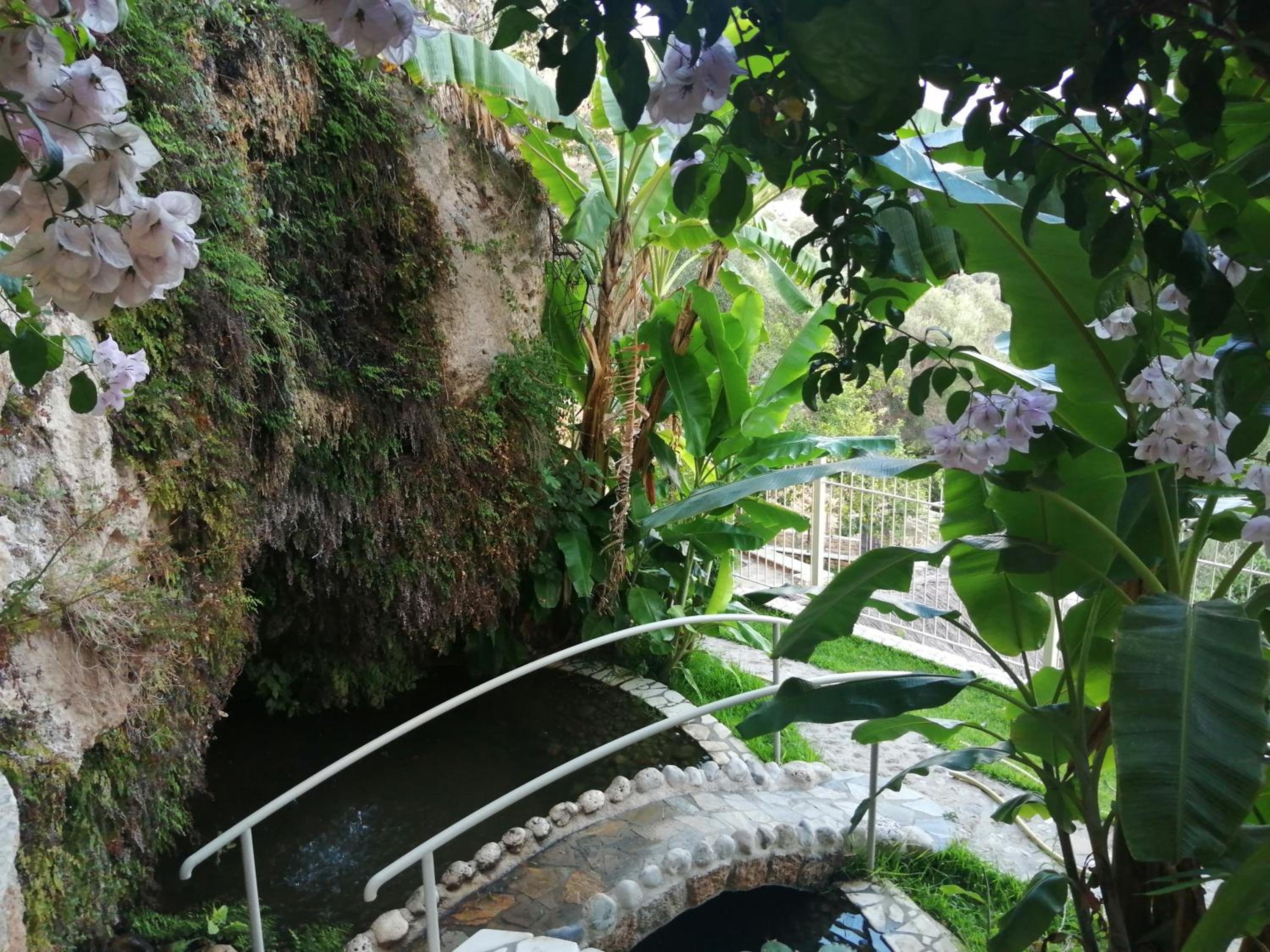 Filoxenia Olive Garden luxury villas and suites photo 3