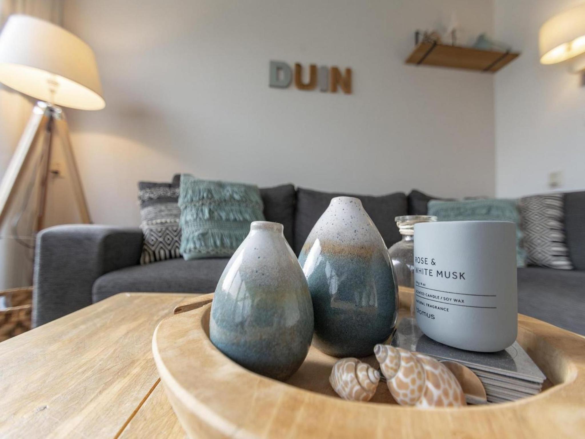 Duinland 245 bungalow for 6 guests near sea