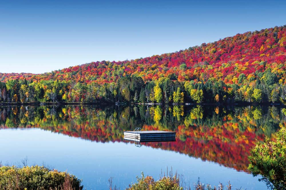 Ski in out at La Halte Mont-Blanc 2