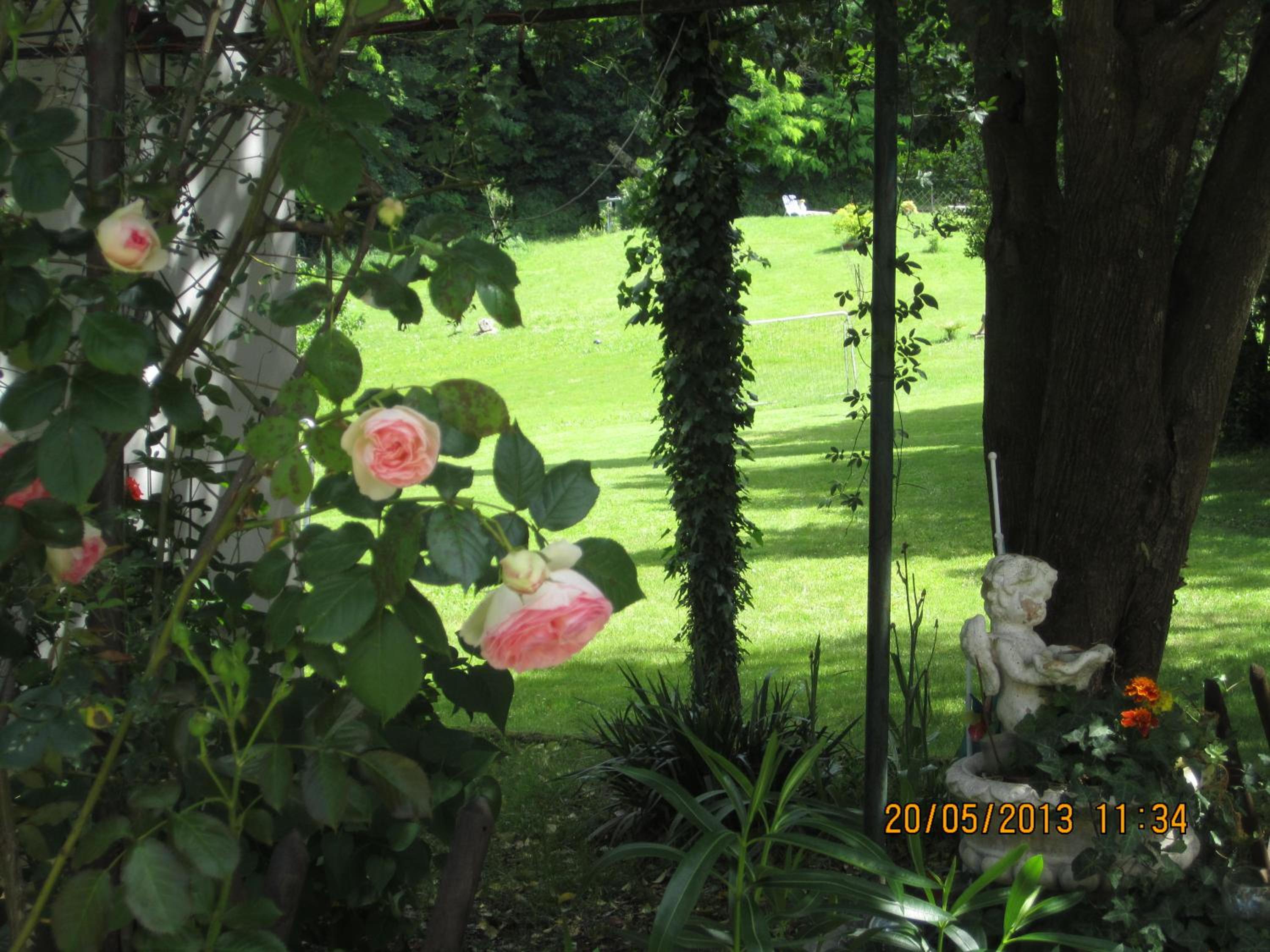Villa Arianna B&B