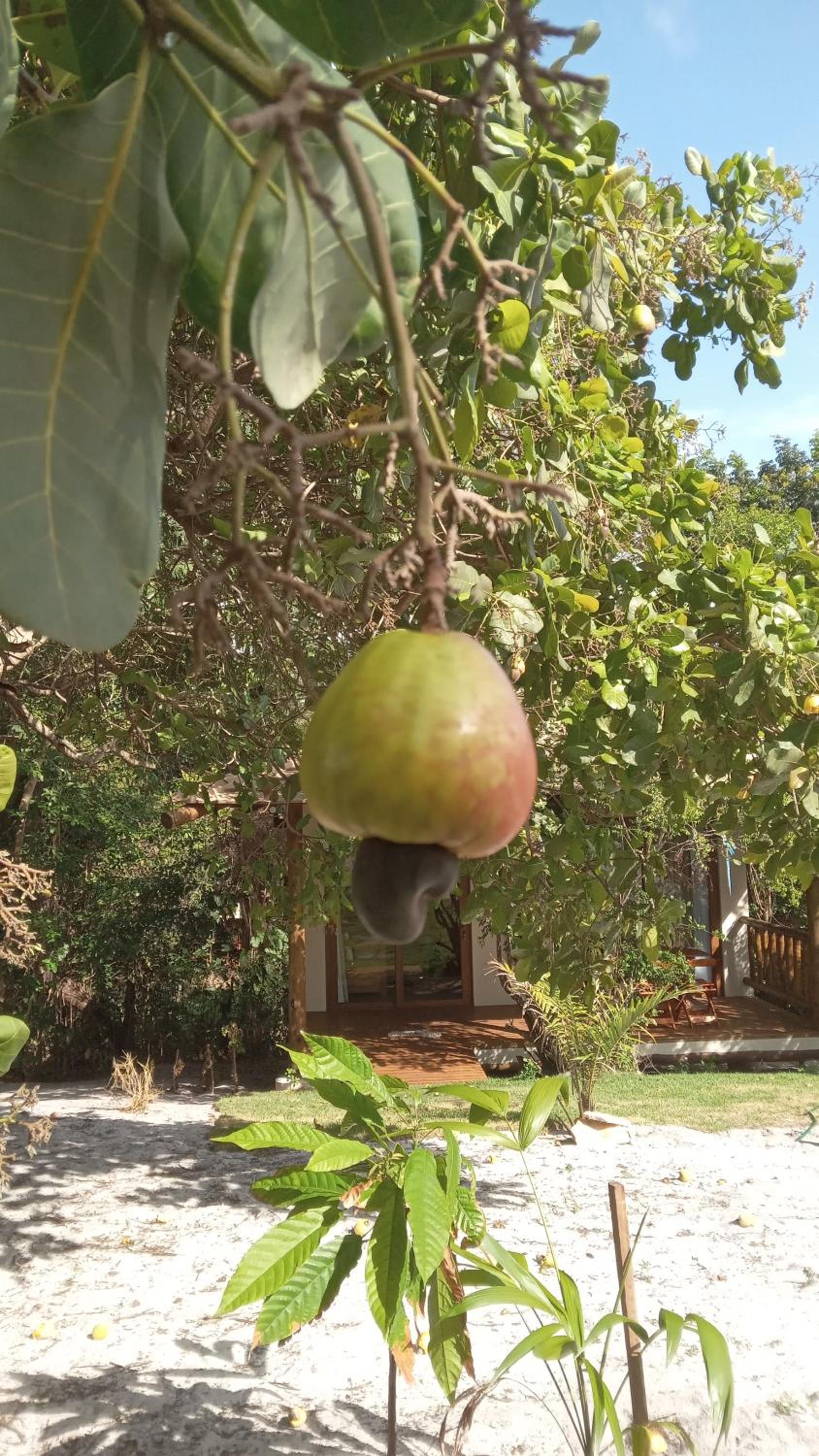 Chalés na Vila Natholi