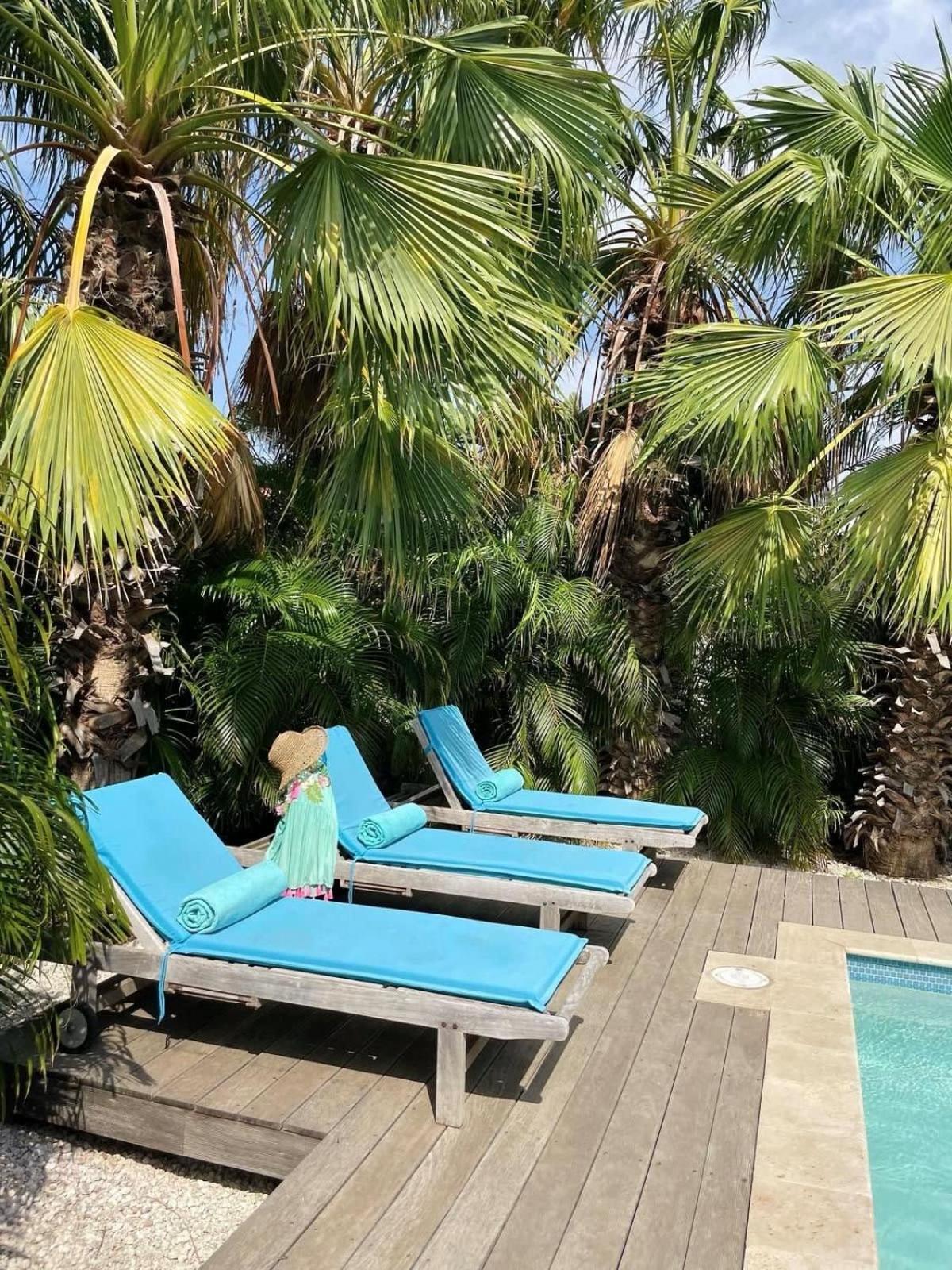 Endless Summer - Stunning 3-bedroom Vacation Villa located in Noord.
