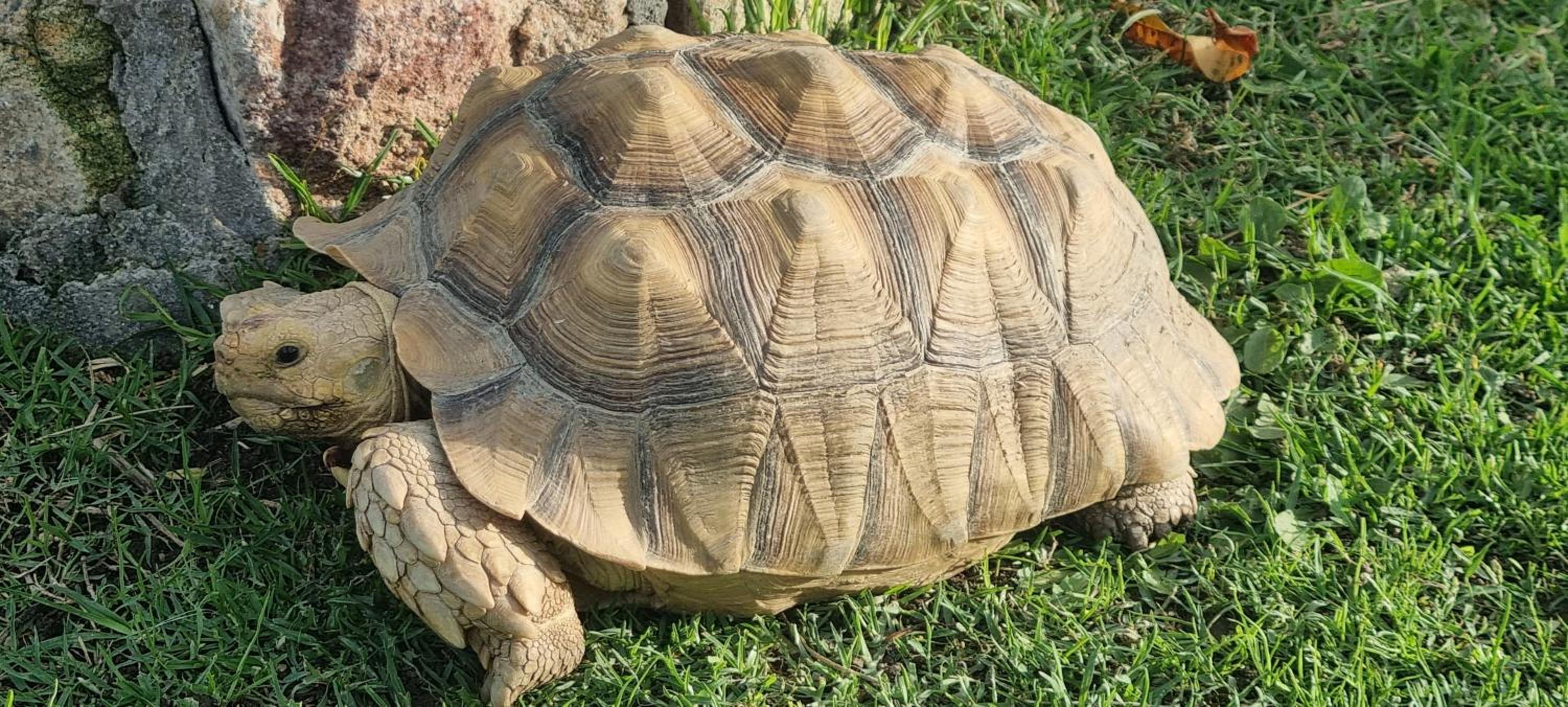 Photo 31