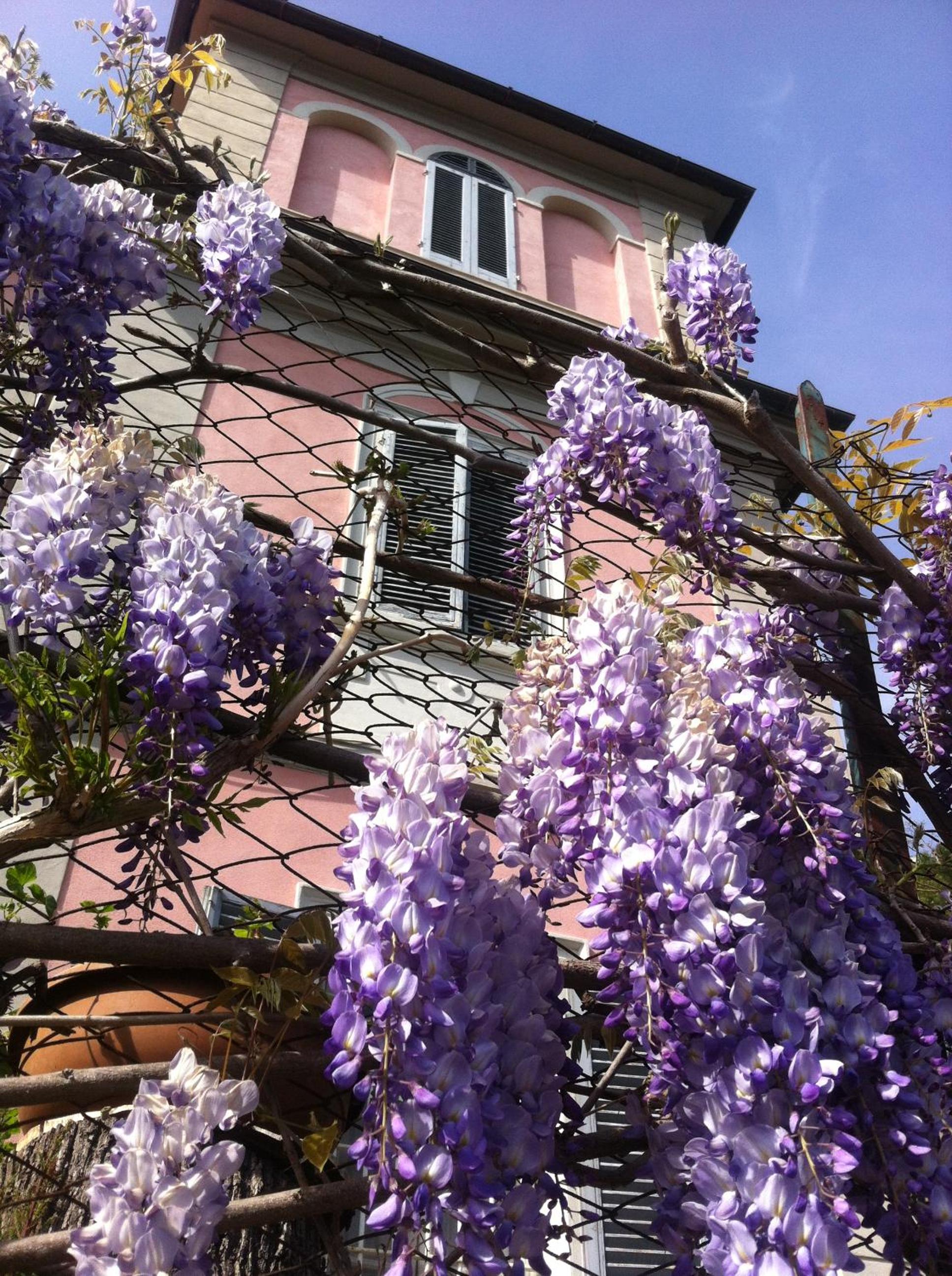 Villa Arianna B&B