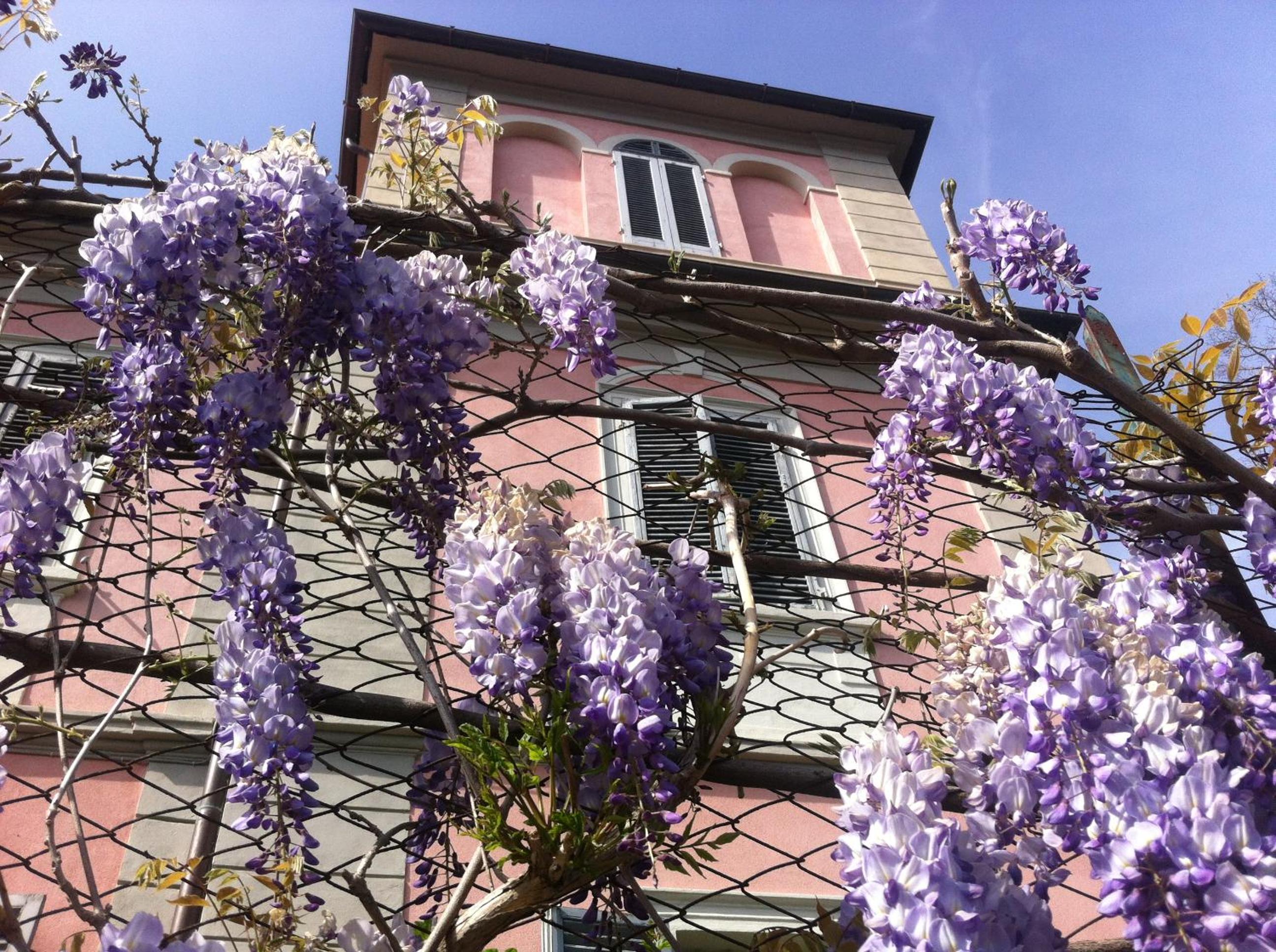Villa Arianna B&B
