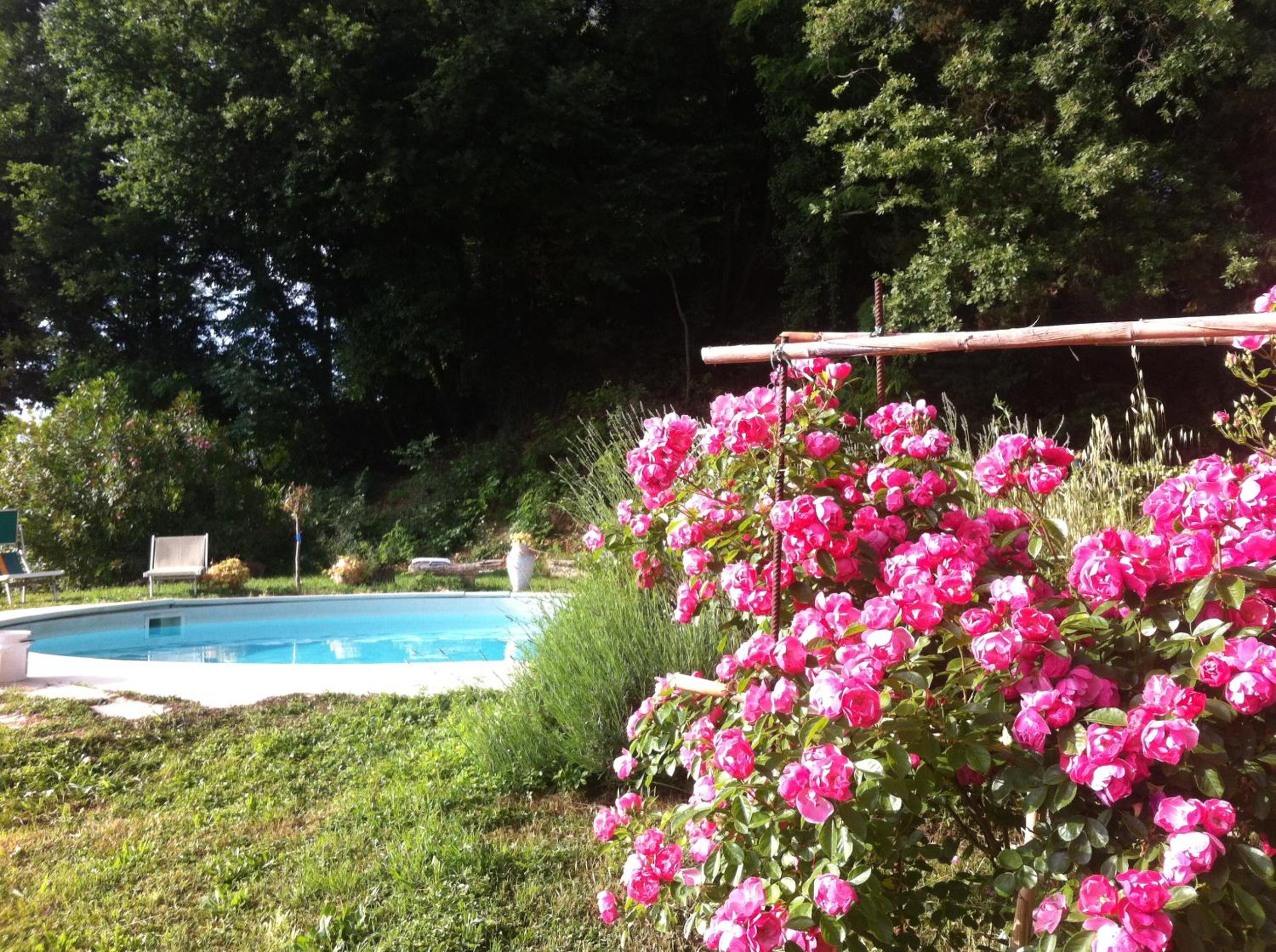 Villa Arianna B&B